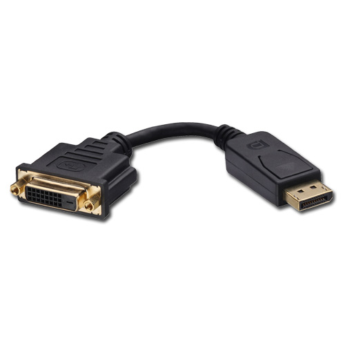 Display Port to DVI Adapter Cable
